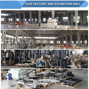 Équipement de Gymnastique Commercial de Haute Qualité DGZ, Machine Sportive, Équipement de Gym Complet, Usine de 30 000 m² Établie en 2018 dans le Shandong - Product Image 3