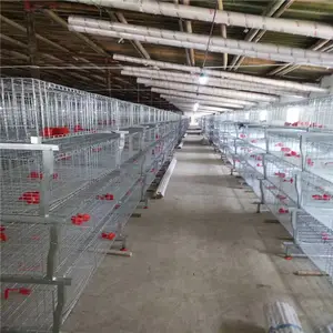 4 katmanlı 128 tavuk kapasiteli tavuk kümes hayvanları kafes