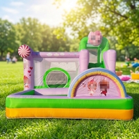 Château gonflable avec toboggan et piscine à balles, motifs de dessins animés colorés pour les fêtes d'enfants en plein air, aire de jeux, centre d'amusement