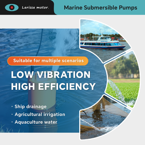 <span class=keywords><strong>Pompe</strong></span> de cale submersible DC 200W 12V/24V de haute qualité, silencieuse et portable, pour drainage marin, navires et aquaculture - Product Image 6