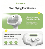 Peigne de toilettage électrique portatif pour animaux de compagnie, pour la perte de poils, massage auto-nettoyant, rechargeable Type-C, sans eau