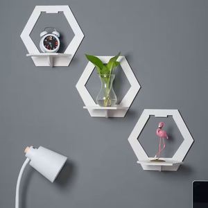 Hot No Punching Wall Plastic Decorative Flower <b>Shelves</b> Pot Ornament Storage Holders for Bedroom Living Room - Product Image 1