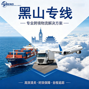 Logística Internacional, Línea Dedicada Transfronteriza, Montenegro, Transporte Marítimo y Aéreo, Reenvío, Despacho de Aduanas, Impuestos Incluidos - Product Image 4