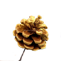 Fait à la main bricolage décor pomme de pin cônes de noël avec des poteaux pommes de pin séchées fleurs Bouquets arbre de noël accessoires de tir Fruits