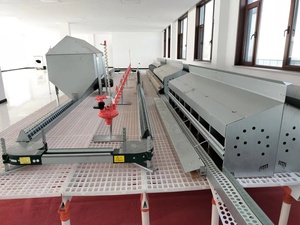 Điều kiện mới tự động đặt tổ Nuôi Lớn tổ hộp 160 chim công suất 1 năm bảo hành heo con thiết bị chăn nuôi - Product Image 4