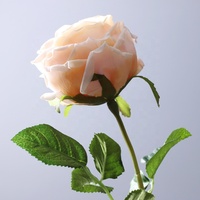 Bunga Austin Rose Peony pelembab, bunga buatan mawar sentuhan asli untuk dekorasi