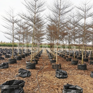 HOKBG Offre Spéciale 20 Gallon 80 Litres sac de culture pour arbre planteur sac pépinière sac de culture pour Terminalia neotaliala arbre - Product Image 2
