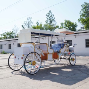 Carroza Eléctrica Turística de Color Personalizado, Estructura de Acero, Tres Filas de Asientos, 8 Pasajeros, Elegante, Vintage, para Bodas y Parques Temáticos - Product Image 6