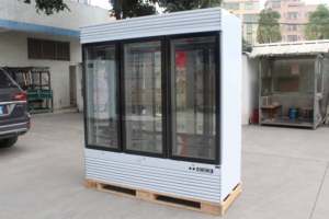 Refrigerador para Maduración en Seco de Carne, con Tres Puertas de Vidrio, Negro, para Res y Otros Carnes - Product Image 3