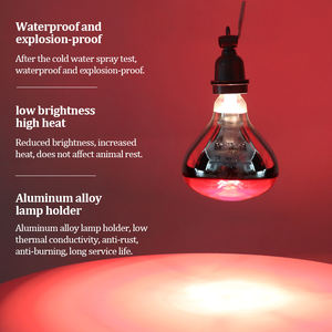 Инфракрасная утолщенная галогенная нагревательная лампа 100W/150W/200W/<span class=keywords><strong>250W</strong></span> куриный Брудер люк для домашних птиц инфракрасная нагревательная лампа - Product Image 5