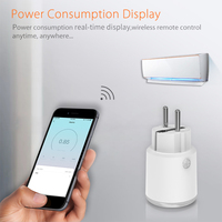 Prise intelligente Haozee Zigbee 3680W 16A avec surveillance de la consommation d'énergie, minuterie, prise EU, compatible Home Assistant Zigbee2mqtt
