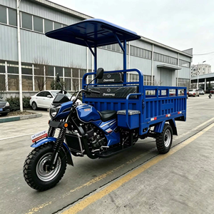 Nuevo Estilo de Triciclo Motorizado a Gasolina, <span class=keywords><strong>Motocicleta</strong></span> Popular para Adultos de 200CC <span class=keywords><strong>2500CC</strong></span>, Triciclo de Carga a Gasolina en Venta - Product Image 2