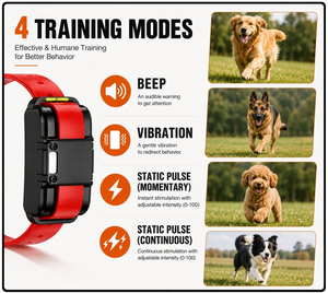 <span class=keywords><strong>Collier</strong></span> <span class=keywords><strong>anti</strong></span>-<span class=keywords><strong>aboiement</strong></span> intelligent pour chien avec écran couleur LED rechargeable 1600M, dispositif <span class=keywords><strong>anti</strong></span>-<span class=keywords><strong>aboiement</strong></span> <span class=keywords><strong>professionnel</strong></span>, sensibilité réglable - Product Image 2