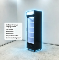 Vitrine réfrigérée verticale pour boissons, refroidisseur d'air commercial pour supermarchés et commerces de détail