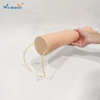 Modelo de Brazo para Infusión Intravenosa de Alta Simulación con Vasos Sanguíneos Visibles para Entrenamiento Médico, con Certificaciones CE/ISO/ROHS/CNAS