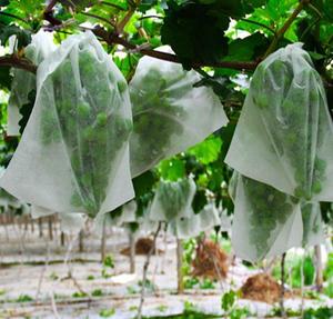 Housses de protection intégrées industrielles-agricoles en polypropylène non tissé 100 % respirant et lourd pour fruits, anti-insectes - Product Image 1