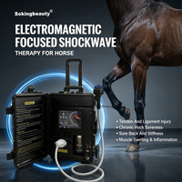 Appareil de thérapie équine à ondes de choc focalisées pour la performance sportive – Personnalisation de marque privée
