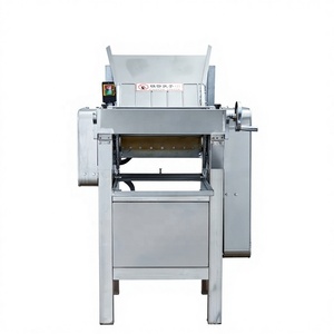 Presse à nouilles professionnelle à grande vitesse pour un étalage <span class=keywords><strong>de</strong></span> pâte rapide et efficace pour les cantines d'hôtels et les cuisines centrales - Product Image 2