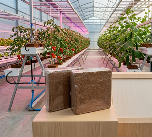 Bloque de Fibra de Coco 5kg 30 cm x 30 cm x 12 - 15 cm Alto Contenido de EC, Sustrato de Coco Premium Ideal para Cultivo Hidropónico y Plantas - Product Image 6