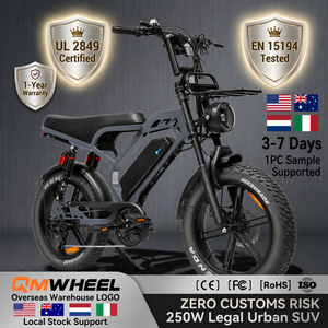 QMHEEL V20Limited 48V All Terrain Electric Bike Electric City Bike Lithium <b>Battery</b> Dealer Bulk Order for Ebike Store OEM ODM - Product Image 1