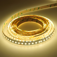 CE RoHS Extérieur Adressable LED Bande 12V IP67 Étanche AC110V Paysage Lumière Décorative 3500K Blanc Chaud