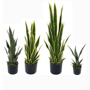 <span class=keywords><strong>ต้นไม้</strong></span><span class=keywords><strong>งู</strong></span>แบบกำหนดเองสำหรับบอนไซ - Product Image 2
