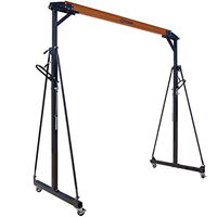 Mini-grue Portable pour portique, capacité de 500kg, 1 pièce