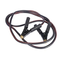Câble de charge de batterie de voiture en PVC et cuivre 16AWG 3M, cordon d'alimentation personnalisable à faible tension, modèle COO1