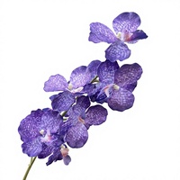 9 têtes d'orchidées Vanda artificielles, fleurs en soie artificielle pour mariage, décoration de la maison, accessoires de photographie
