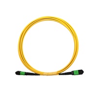 Cable de Fibra Óptica MPO de 12 Fibras Monomodo de 1.5m, Cable de Conexión de Fibra MTP/MPO de Shenzhen