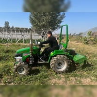 Mini Tractor Agrícola Compacto de 14HP, de Cuatro Ruedas, para Agricultura, Pequeño Trattorino Tagliaerba