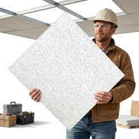 Plaque de plafond suspendu acoustique en minéral de 600x600 mm