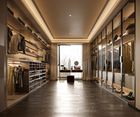 Armoire dressing dressing dressing vestiaire avec cadres noirs et verre noir armoire en verre placard en verre