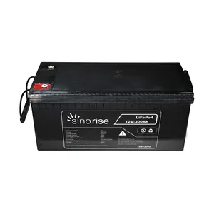 Batteria Oem Odm Lifepo 48v 24v 12v 200ah 100ah batterie ai polimeri di litio ad alta potenza