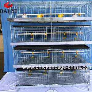 chick cage,baby chick cage,1day old chicks for sale