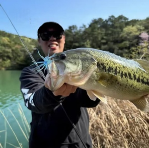 Alpha 120mm/9.7g <span class=keywords><strong>Esca</strong></span> Artificiale Morbida Galleggiante in TPE a Forma di Riccio Marino Bionico <span class=keywords><strong>per</strong></span> la Pesca in Acqua Salata e Dolce di Spigola, Trota e Luccio - Product Image 6
