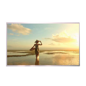 AUO P215HVN01.2 Señalización digital Módulo de pantalla LCD 21,5 pulgadas FHD 1920x1080 Visión amplia 250NITs LVDS TFT LCM Panel - Product Image 6