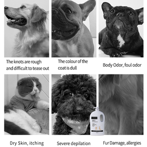 Nuovo Gel doccia per animali domestici 2L Formula vegetale lieve senza brividi deodorizzazione per cani e gatti nuovo Design per proteggere la pelle liscia Gel doccia per animali domestici - Product Image 5