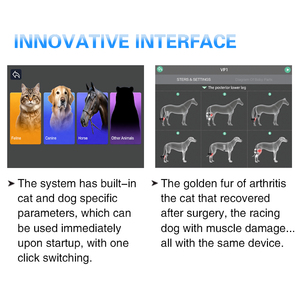 Magic <b>Belle</b> Pet TECAR Therapy Machine Veterinary Body Repair Device Shockwave Therapy Equipment for <b>Dogs</b> and Cats Commercial use - Product Image 4