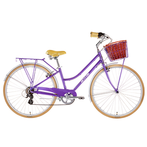 24 pouces femmes <span class=keywords><strong>vélo</strong></span> cycle <span class=keywords><strong>de</strong></span> bicyclette <span class=keywords><strong>de</strong></span> <span class=keywords><strong>vélo</strong></span> pour femmes et bébé au détail lady bird 26 dame <span class=keywords><strong>de</strong></span> <span class=keywords><strong>vélo</strong></span> <span class=keywords><strong>avec</strong></span> <span class=keywords><strong>panier</strong></span> - Product Image 2