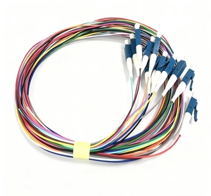 <span class=keywords><strong>10</strong></span> 기가비트 멀티모드 OM3/4 번들 파이버 피그테일 SC/FC/Lc/St 사이즈 스퀘어 12 코어 싱글 모드 - Product Image 3