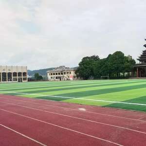 Proveedor Futsal Césped sintético Césped de fútbol artificial <span class=keywords><strong>5</strong></span> A Campo de fútbol lateral Artificial - Product Image 4