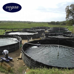 100% Virgin 1,0mm 1,5mm <span class=keywords><strong>HDPE</strong></span> Geomembrane Pond <span class=keywords><strong>Liner</strong></span> para Proyecto de paisaje de lago artificial - Product Image 4