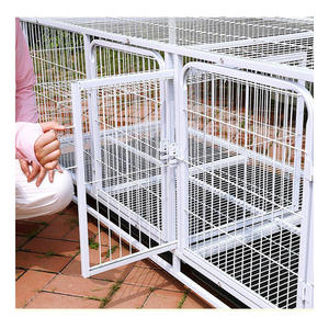 Les animaleries utilisent des cages en métal pour chats et chiens - Product Image 5