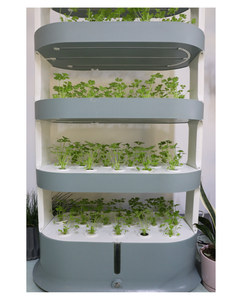 ขายส่งชั้นวางไฮโดรโปนิกส์ในร่ม ขายส่งระบบ<span class=keywords><strong>ปลูก</strong></span>แนวตั้ง การปลูกผักใน<span class=keywords><strong>บ้าน</strong></span> - Product Image 2