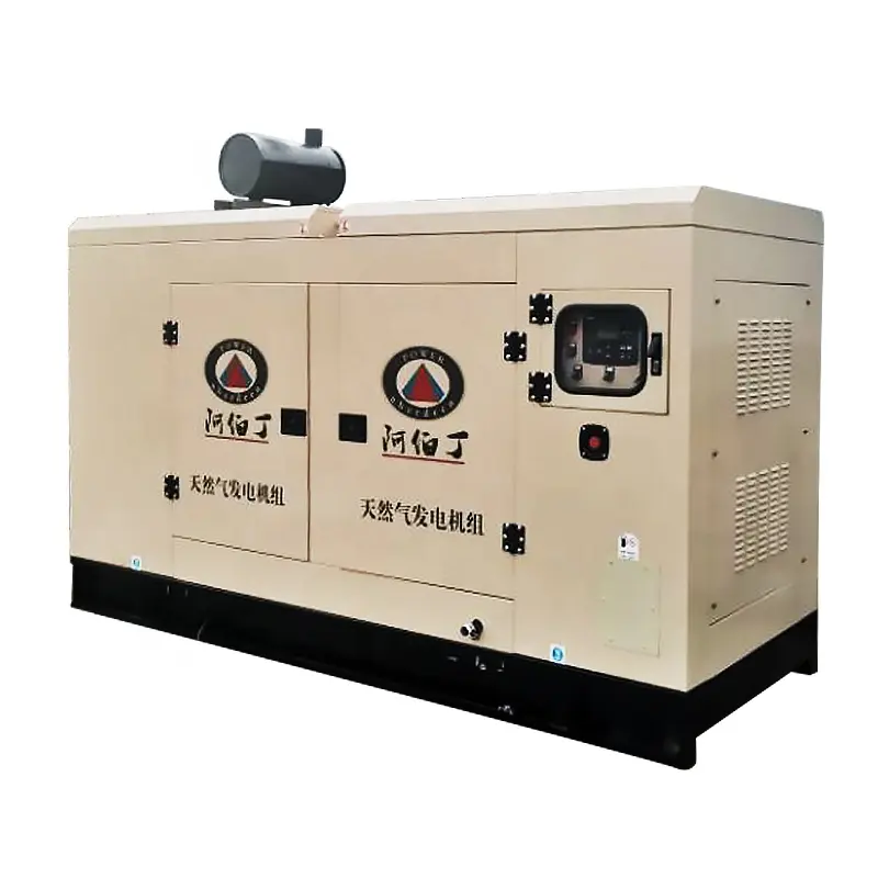 80kw 100kw 120kv 125kva 150kw 200kw 250kw 300kva Công Nghiệp Im Lặng Khí Tự Nhiên Biogas LPG Generator Với CHP