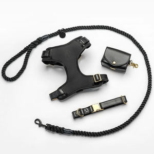 パーソナライズされた調整可能なPUレザーペットカラーハーネスとロープリーシュ犬の首輪セット - Product Image 2