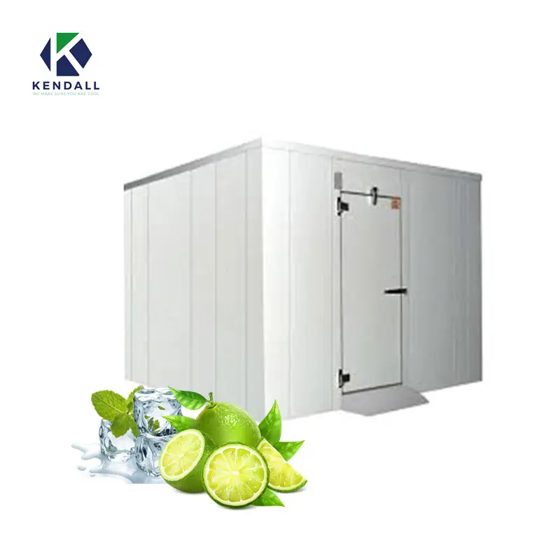Small Medium Large Size Cool Freezing Refrigeration Coldroom Cold Room Storage For Fresh Meat