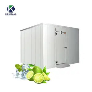 Small Medium Large Size Cool Freezing Refrigeration Coldroom Cold Room Storage For Fresh Meat