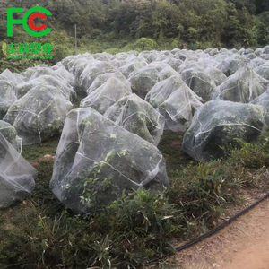 Sacchetti di rete per la copertura dell'albero da frutto del frutteto sacchetti di rete anti-insetti anti-mosche anti-uccello - Product Image 2